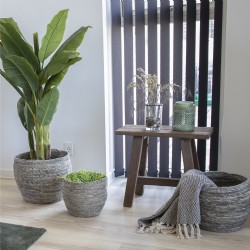 Barcelona Teak Bench