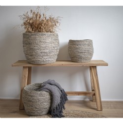 Barcelona Teak Bench