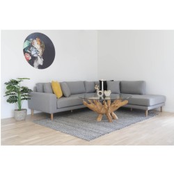 Amazonas Coffee Table