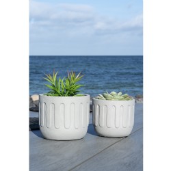 Cement Flower Pot