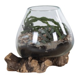 San Marino Waterdrop
