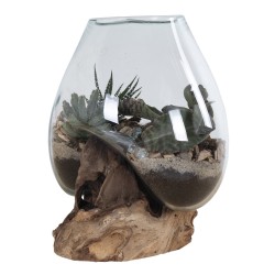 San Marino Waterdrop