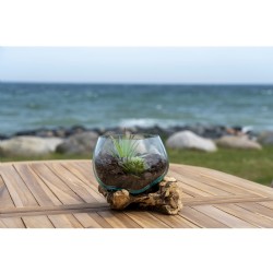 San Marino Waterdrop