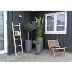 Teak Ladder