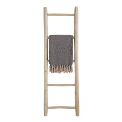 Teak Ladder