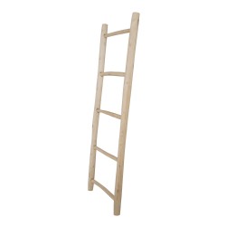 Teak Ladder