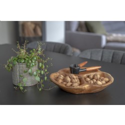 Nola Teak Bowl