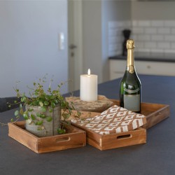 Faro Tray