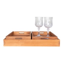Faro Tray