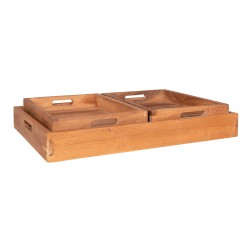 Faro Tray