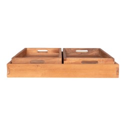 Faro Tray