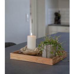 Faro Tray