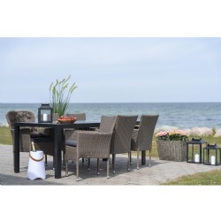 Seattle Dining Chair