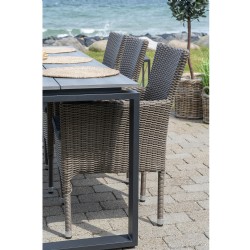 Seattle Dining Chair