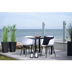 Roda Dining Chair