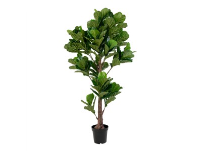 Fiddle Leaf Tree