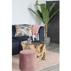 Banana Palm